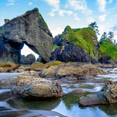 Olympic Peninsula